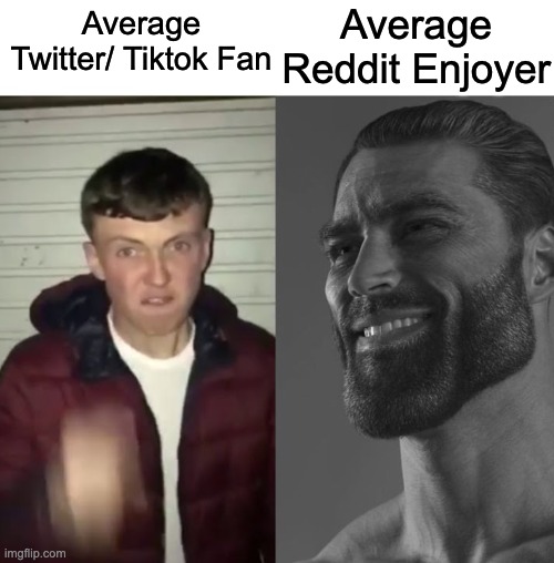 Average Fan vs Average Enjoyer | Average Reddit Enjoyer; Average Twitter/ Tiktok Fan | image tagged in average fan vs average enjoyer | made w/ Imgflip meme maker