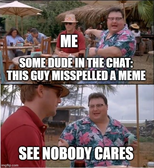 See Nobody Cares Meme | ME; SOME DUDE IN THE CHAT: THIS GUY MISSPELLED A MEME; SEE NOBODY CARES | image tagged in memes,see nobody cares | made w/ Imgflip meme maker