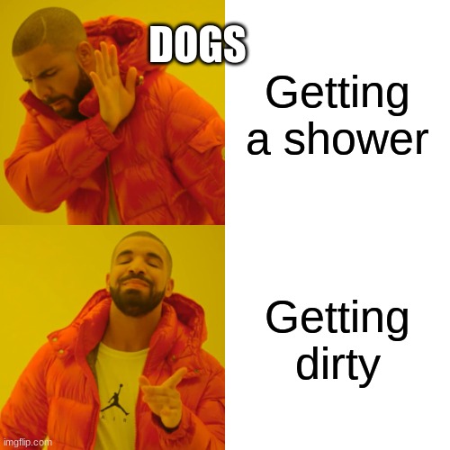 Drake Hotline Bling Meme | DOGS; Getting a shower; Getting dirty | image tagged in memes,drake hotline bling | made w/ Imgflip meme maker