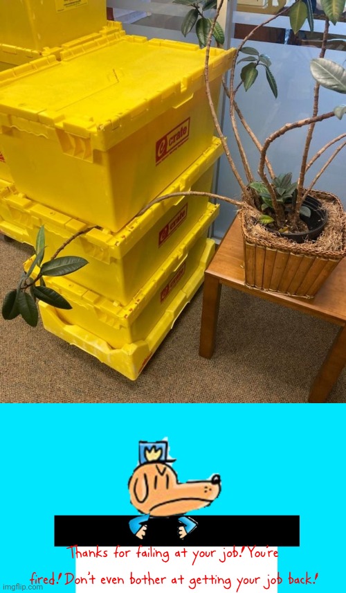 Plant | image tagged in dog man thanks for failing at your job,you had one job,plants,plant,fails,memes | made w/ Imgflip meme maker