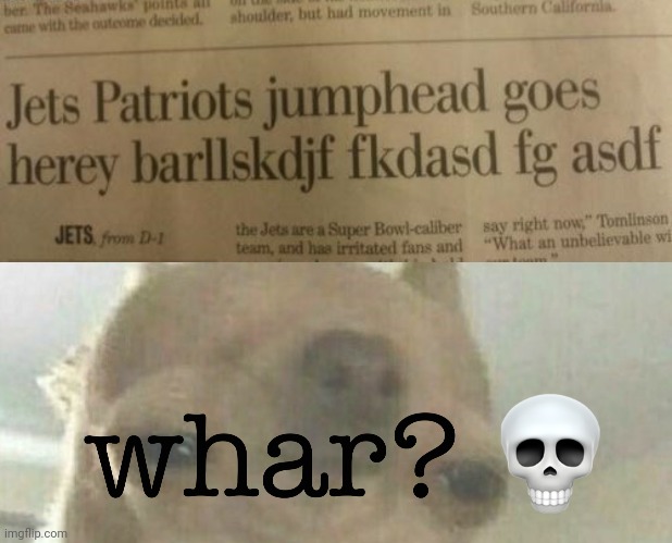 Newspaper fail | image tagged in whar,you had one job,newspaper,memes,jets,patriots | made w/ Imgflip meme maker