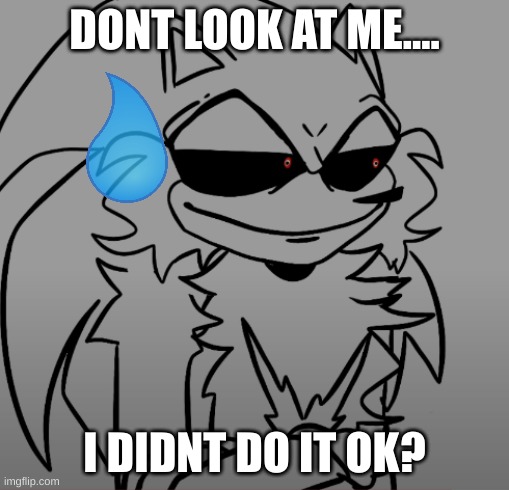 lord x smug | DONT LOOK AT ME.... I DIDNT DO IT OK? | image tagged in lord x smug | made w/ Imgflip meme maker