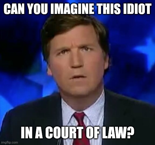 confused Tucker carlson | CAN YOU IMAGINE THIS IDIOT IN A COURT OF LAW? | image tagged in confused tucker carlson | made w/ Imgflip meme maker