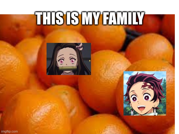 this is my family tangerine kamado | THIS IS MY FAMILY | made w/ Imgflip meme maker