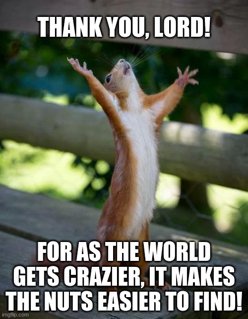 crazy world | THANK YOU, LORD! FOR AS THE WORLD GETS CRAZIER, IT MAKES THE NUTS EASIER TO FIND! | image tagged in happy squirrel | made w/ Imgflip meme maker