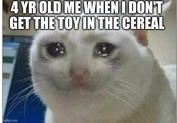 crying cat | 4 YR OLD ME WHEN I DON'T GET THE TOY IN THE CEREAL | image tagged in crying cat | made w/ Imgflip meme maker