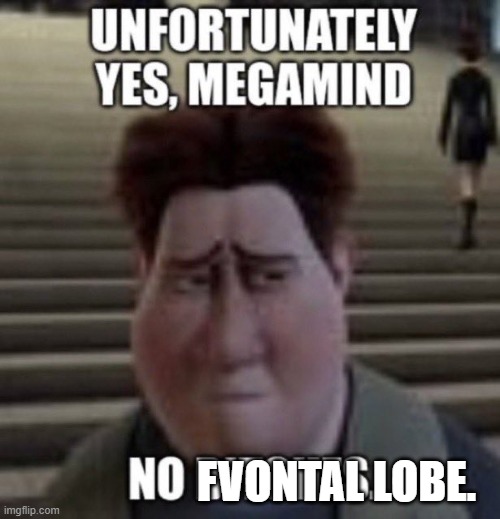 unfortunately yes, megamind no bitches | FVONTAL LOBE. | image tagged in unfortunately yes megamind no bitches | made w/ Imgflip meme maker