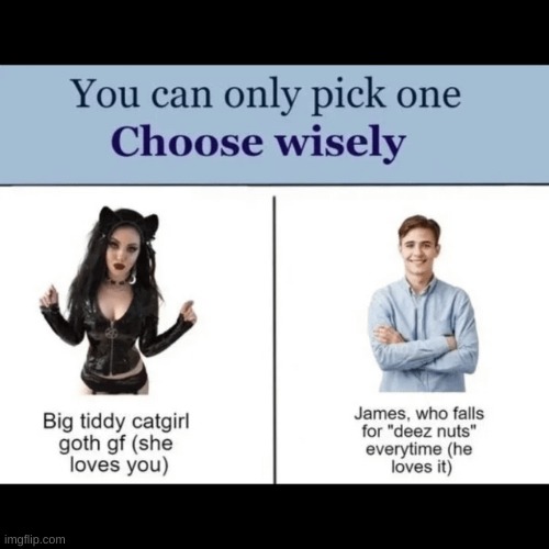 Pick the second one and you are a giga chad | image tagged in deez nuts | made w/ Imgflip meme maker