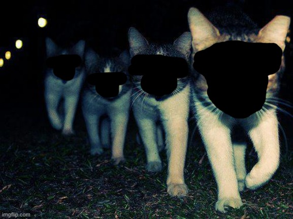 Have you seen these kittens? (we have gotten rid of any facial recognition, so their identities aren't leaked" | image tagged in memes,cat,joke | made w/ Imgflip meme maker