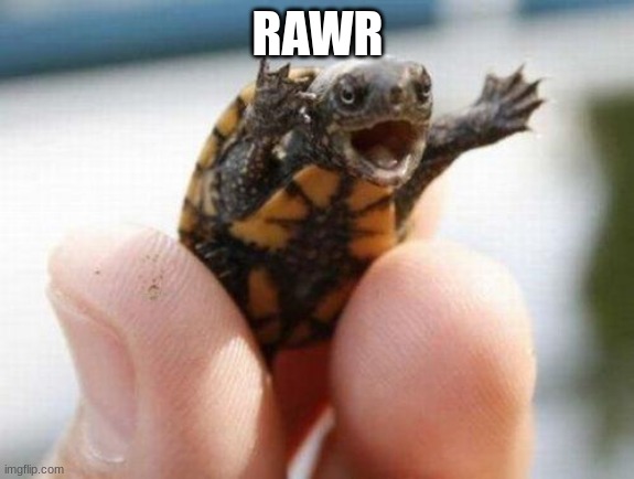 so scary | RAWR | image tagged in yelling turtle | made w/ Imgflip meme maker