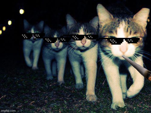 shitpost3 | image tagged in memes,wrong neighboorhood cats | made w/ Imgflip meme maker