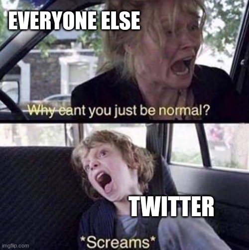Why Can't You Just Be Normal | EVERYONE ELSE; TWITTER | image tagged in why can't you just be normal | made w/ Imgflip meme maker