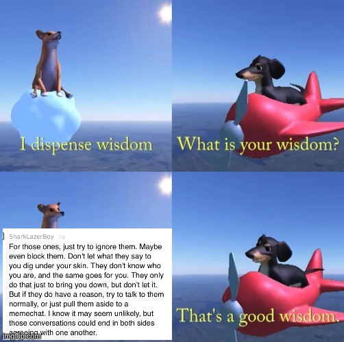 That’s some good wisdom | image tagged in wisdom dog | made w/ Imgflip meme maker