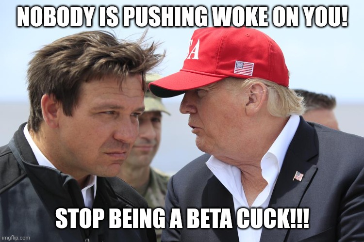 Beta cuck!!! | NOBODY IS PUSHING WOKE ON YOU! STOP BEING A BETA CUCK!!! | image tagged in trump and desantis | made w/ Imgflip meme maker