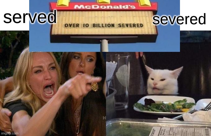 the cat's right | served; severed | image tagged in woman yelling at cat | made w/ Imgflip meme maker
