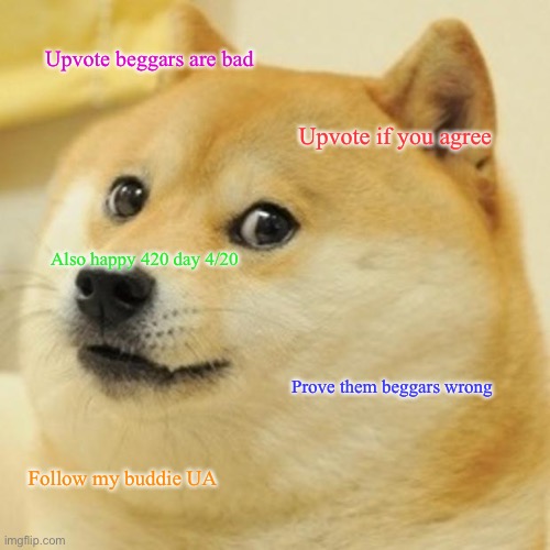 Prove em wrong | Upvote beggars are bad; Upvote if you agree; Also happy 420 day 4/20; Prove them beggars wrong; Follow my buddie UA | image tagged in memes,doge | made w/ Imgflip meme maker