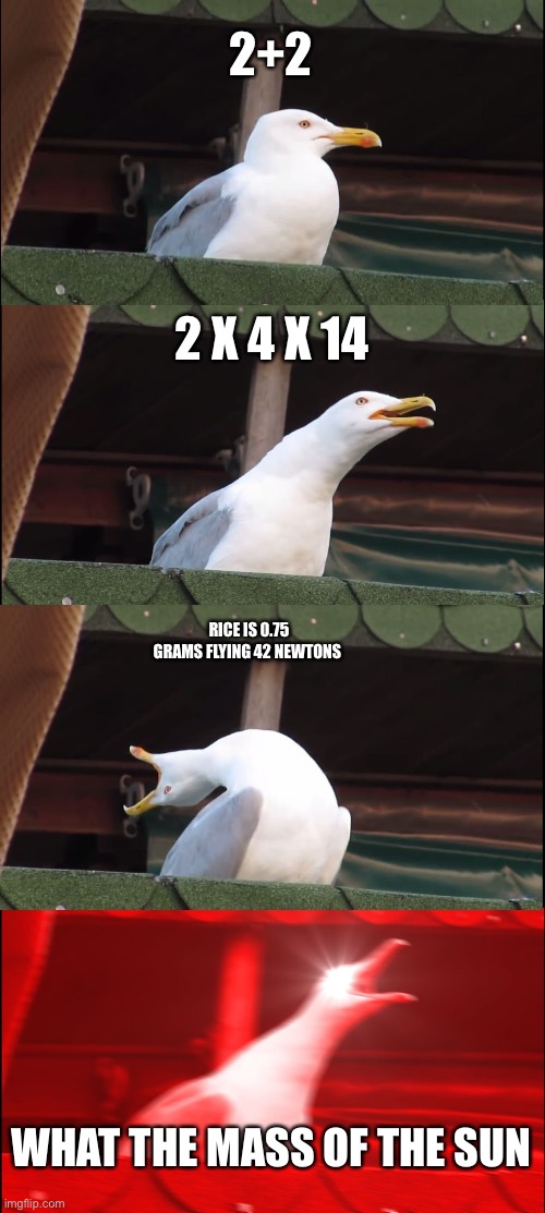 Test be like | 2+2; 2 X 4 X 14; RICE IS 0.75 GRAMS FLYING 42 NEWTONS; WHAT THE MASS OF THE SUN | image tagged in memes,inhaling seagull | made w/ Imgflip meme maker