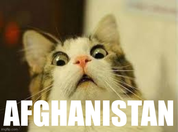 shocked cat | AFGHANISTAN | image tagged in shocked cat | made w/ Imgflip meme maker