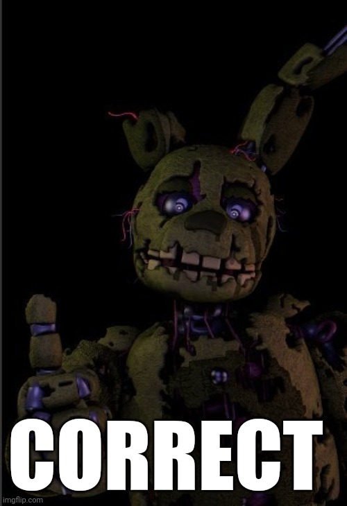 Springtrap thumbs up | CORRECT | image tagged in springtrap thumbs up | made w/ Imgflip meme maker