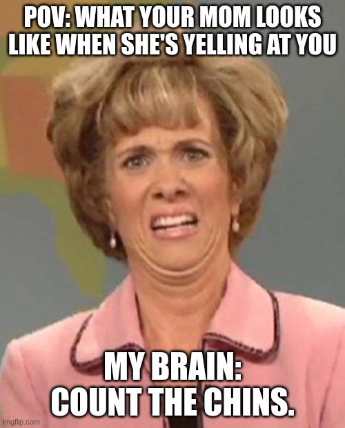 I have seen this face on my mom and I cannot unsee it. | POV: WHAT YOUR MOM LOOKS LIKE WHEN SHE'S YELLING AT YOU; MY BRAIN: COUNT THE CHINS. | image tagged in disgusted kristin wiig | made w/ Imgflip meme maker