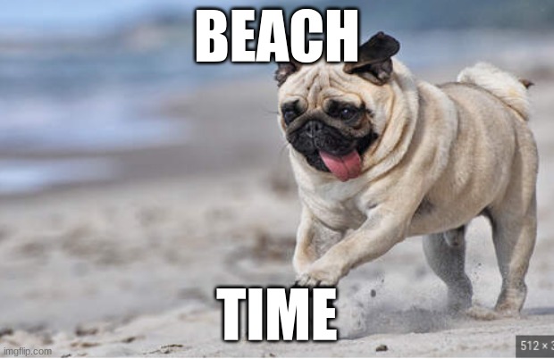 BEACH; TIME | made w/ Imgflip meme maker