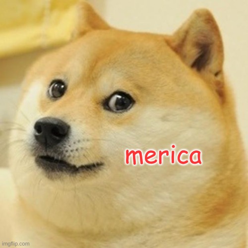 Doge Meme | merica | image tagged in memes,doge | made w/ Imgflip meme maker