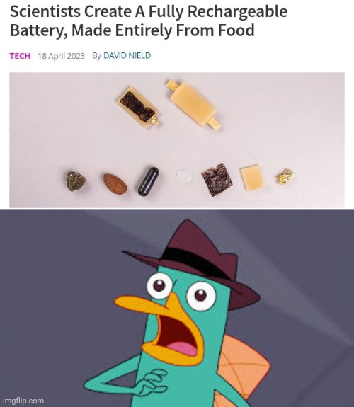 A fully rechargable battery made from food | image tagged in perry amazed,rechargable,battery,food,science,memes | made w/ Imgflip meme maker