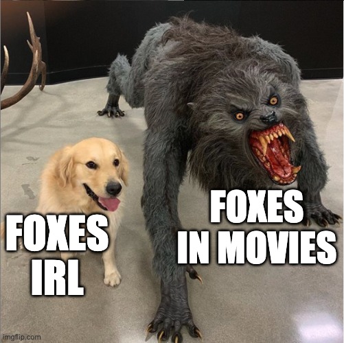 FOXES IN MOVIES; FOXES IRL | image tagged in fox,animals | made w/ Imgflip meme maker