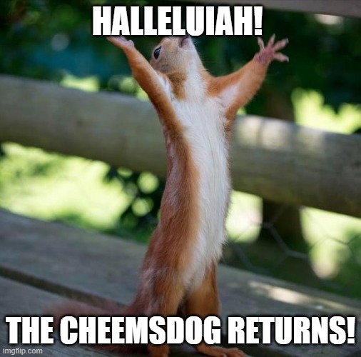 finally | HALLELUIAH! THE CHEEMSDOG RETURNS! | image tagged in finally | made w/ Imgflip meme maker