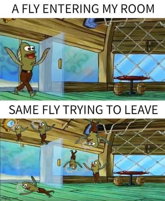 image tagged in memes,funny,repost | made w/ Imgflip meme maker