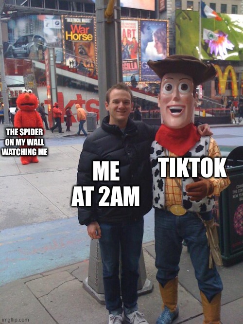 devastated elmo woody | THE SPIDER ON MY WALL WATCHING ME; TIKTOK; ME AT 2AM | image tagged in devastated elmo woody | made w/ Imgflip meme maker