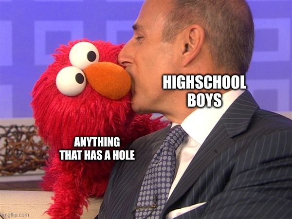 elmo kisses man | HIGHSCHOOL BOYS; ANYTHING THAT HAS A HOLE | image tagged in elmo kisses man | made w/ Imgflip meme maker