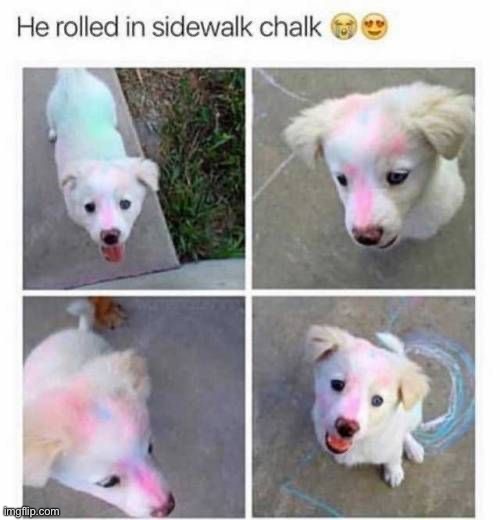 image tagged in memes,funny | made w/ Imgflip meme maker