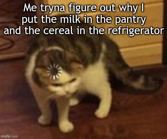 I've done this too many times | Me tryna figure out why I put the milk in the pantry and the cereal in the refrigerator | image tagged in loading cat,memes,cereal,milk,fun,reeeeeeeeeeeeeeeeeeeeee | made w/ Imgflip meme maker
