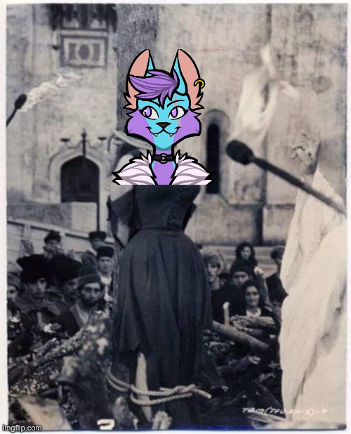 Witch Burned At The Stake | image tagged in witch burned at the stake | made w/ Imgflip meme maker