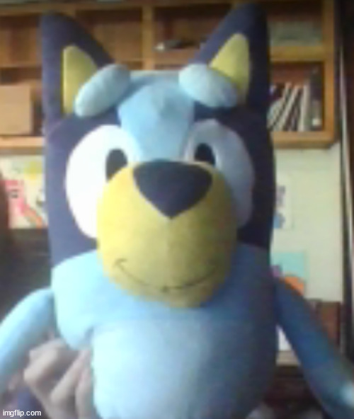 bleu plsuh  omg | made w/ Imgflip meme maker