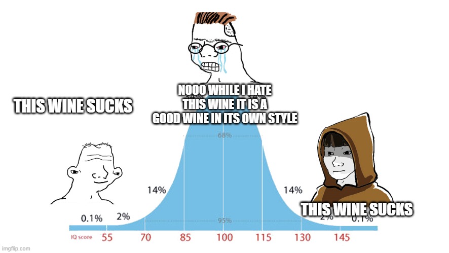 Midwit memes | NOOO WHILE I HATE THIS WINE IT IS A GOOD WINE IN ITS OWN STYLE; THIS WINE SUCKS; THIS WINE SUCKS | image tagged in midwit memes | made w/ Imgflip meme maker