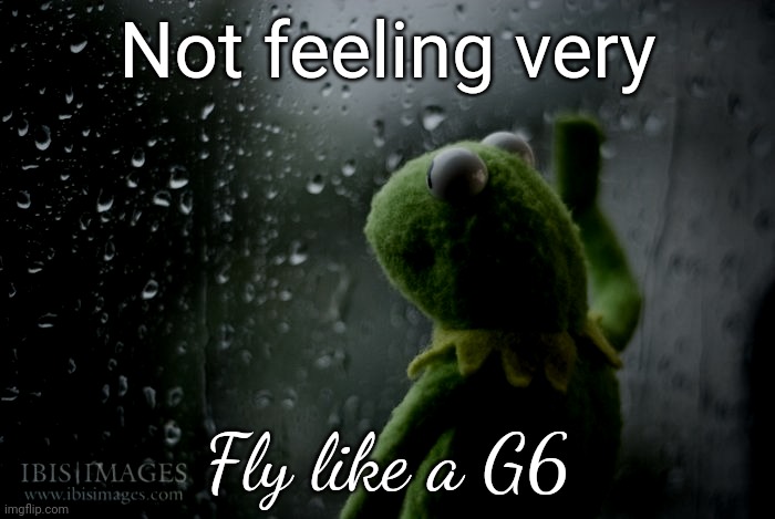 Fly like a g6 | Not feeling very; Fly like a G6 | image tagged in kermit window | made w/ Imgflip meme maker