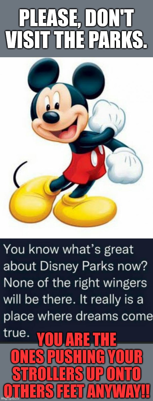 Please...stay away! | PLEASE, DON'T VISIT THE PARKS. YOU ARE THE ONES PUSHING YOUR STROLLERS UP ONTO OTHERS FEET ANYWAY!! | image tagged in mickey mouse | made w/ Imgflip meme maker