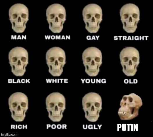 idiot skull | PUTIN | image tagged in idiot skull | made w/ Imgflip meme maker