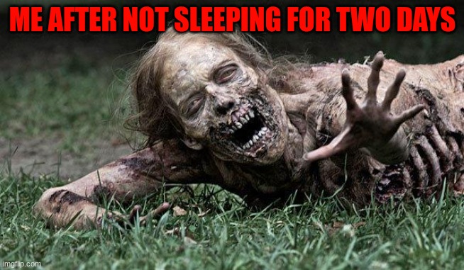 zomie | ME AFTER NOT SLEEPING FOR TWO DAYS | image tagged in walking dead zombie | made w/ Imgflip meme maker