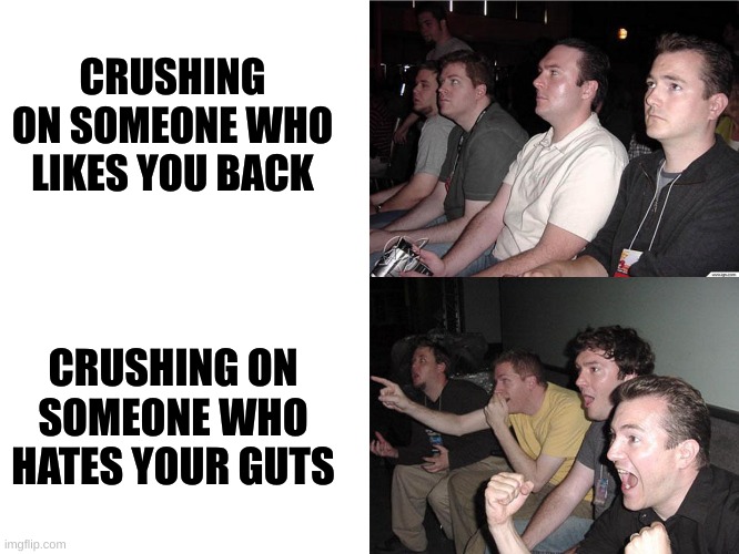 Reaction Guys | CRUSHING ON SOMEONE WHO LIKES YOU BACK; CRUSHING ON SOMEONE WHO HATES YOUR GUTS | image tagged in reaction guys | made w/ Imgflip meme maker