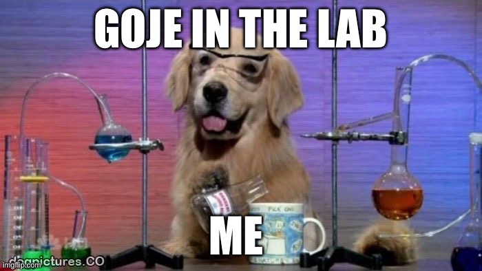 Lab dog | GOJE IN THE LAB; ME | image tagged in lab dog | made w/ Imgflip meme maker