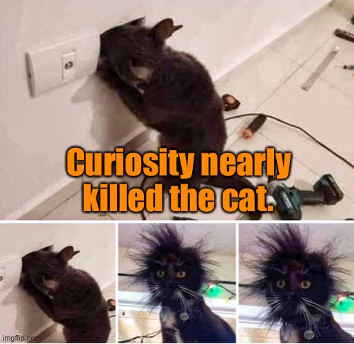 Curiosity | Curiosity nearly killed the cat. | image tagged in curiosity,nearly killed,a cat,cats,shocked | made w/ Imgflip meme maker