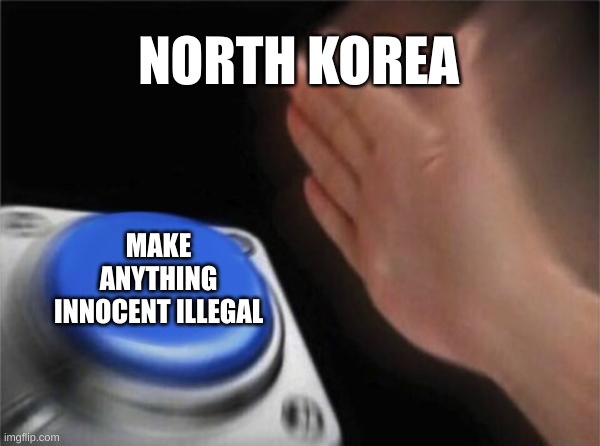 North Korea, period. | NORTH KOREA; MAKE ANYTHING INNOCENT ILLEGAL | image tagged in memes,blank nut button | made w/ Imgflip meme maker