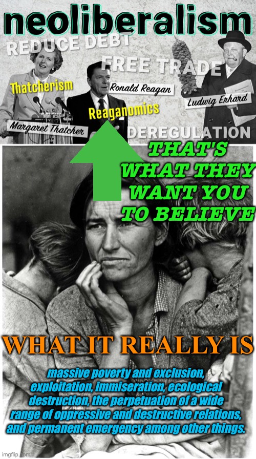 What It Really Is | THAT'S WHAT THEY WANT YOU TO BELIEVE; WHAT IT REALLY IS; massive poverty and exclusion, exploitation, immiseration, ecological destruction, the perpetuation of a wide range of oppressive and destructive relations, and permanent emergency among other things. | image tagged in neo-liberalism | made w/ Imgflip meme maker