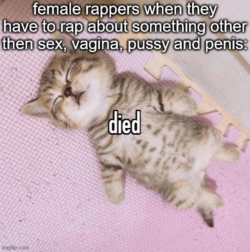 cat died | female rappers when they have to rap about something other then sex, vagina, pussy and penis: | image tagged in cat died | made w/ Imgflip meme maker
