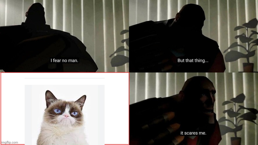 cats tf2 heavy i fear no man Memes & GIFs - Imgflip