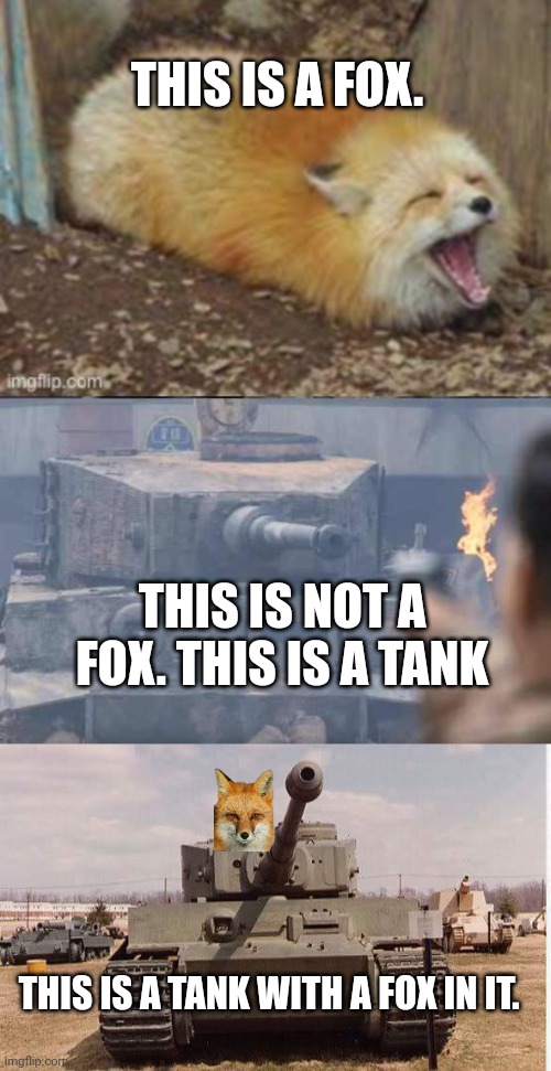 Important tank facts | THIS IS A FOX. THIS IS NOT A FOX. THIS IS A TANK; THIS IS A TANK WITH A FOX IN IT. | image tagged in tom hanks tank,tiger tank,tank,facts | made w/ Imgflip meme maker