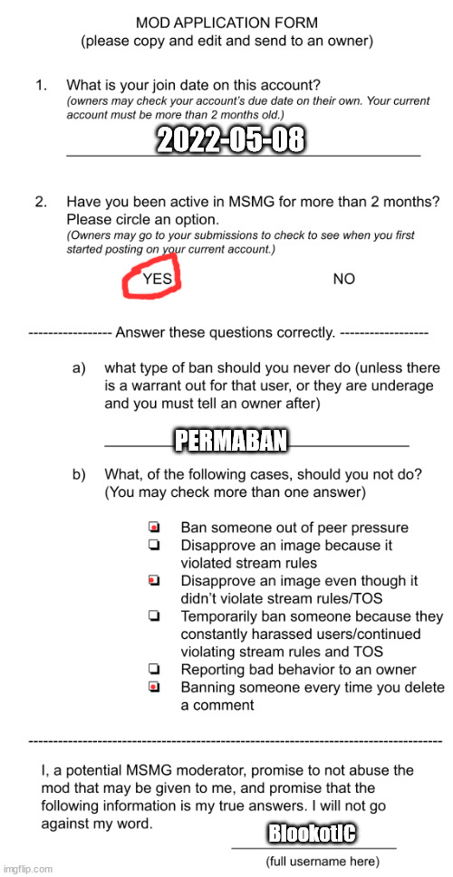 There, can I be mod again? | 2022-05-08; PERMABAN; BlookotIC | image tagged in mod application form beta | made w/ Imgflip meme maker